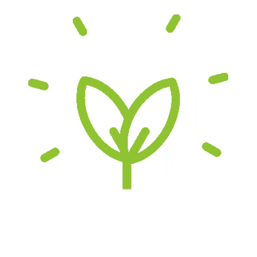 Energy Efficiency - Biomass Indonesia